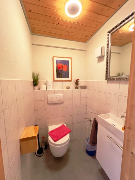 extra Toilette mit Waschbecken und Wandspiegel.