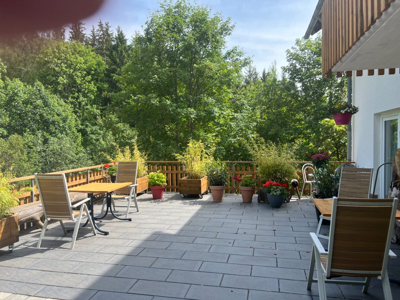 Terrasse mit dekorativen Pflanzen, Stühlen und Tischen, umgeben von Natur.
