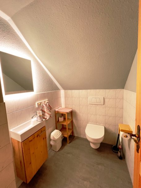 Toilette, Waschbecken, Spiegel und Holzregal.