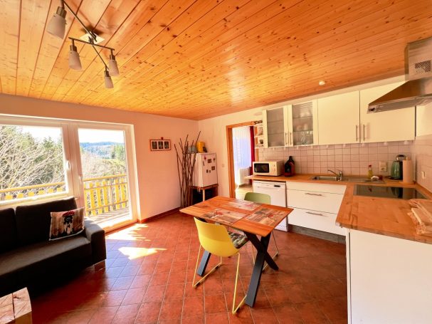 Helle Küche mit Holzdecke, Esstisch, buntem Stuhl und Blick auf die Natur.